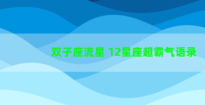 双子座流星 12星座超霸气语录